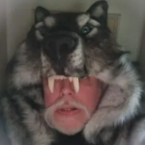 Profile photo of nagrashysa