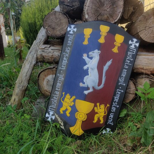 455699027_895628532589562_9084555907683200119_n