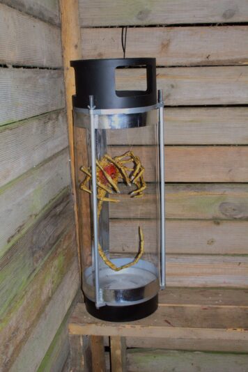 557633472_10161760431892011_5033165547838037118_n