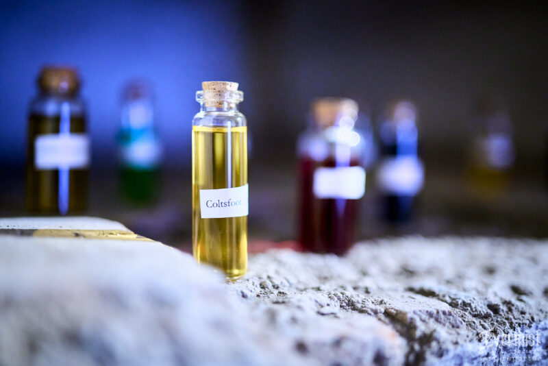 larp.reporter_5263_7IV01176