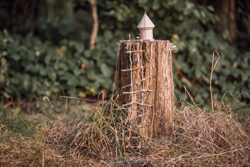 Wintergrafie-2024-09-14-PANMI-Kapitel_14-0408-_Z3A7437-PS-HiRes